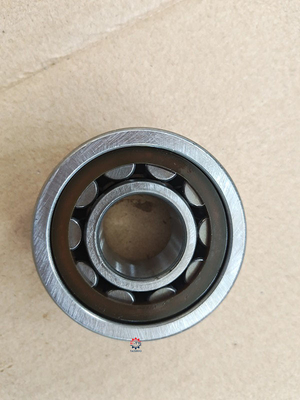 Wheel Bearing NTN Cylindrical Roller Bearings NJ2304 NJ2204 NJ304 20*52*21mm