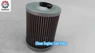 FF5584 P550839 7029275 20549350 Fuel Filter