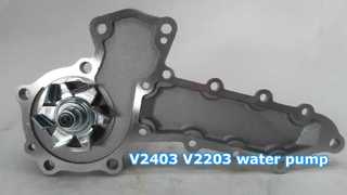V2403 V2203 water pump