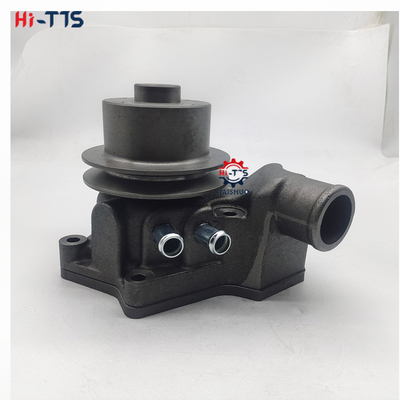 RE64077 Machinery Parts Water Pump for 3029 Diesel Engine Parts