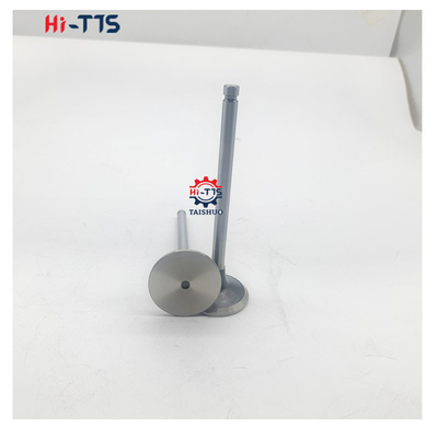 4BT 6BT 6D102 Diesel Engine Intake Valve Exhaust Valve 4995554 3901117 3920867 3920868