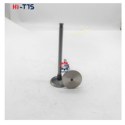 6BT 4BT Diesel Engine Spare Parts Inlet Valve 3901117 3920867 3920868