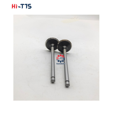 6BT 4BT Diesel Engine Spare Parts Inlet Valve 3901117 3920867 3920868