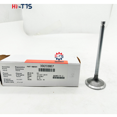 6BT 3920867 High Quality Excavator Engine Valves  Exhaust Valve Valves