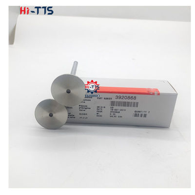 Good price 4BT 6BT 6D102 Diesel Engine Intake Valve Exhaust Valve 4995554 3901117 3920867 3920868 online